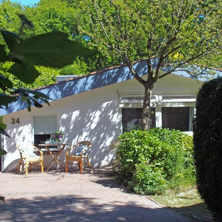 Vakantiehuis La Petite Redousse Renesse Exterior foto